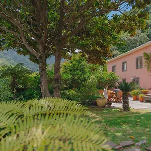 ** Guest house Madeira Surf Portugal